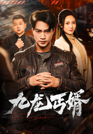 【九龙丐婿】81集短剧完整版在线播放