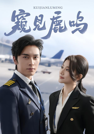 【窥见鹿鸣】60集精彩短剧免费在线畅看