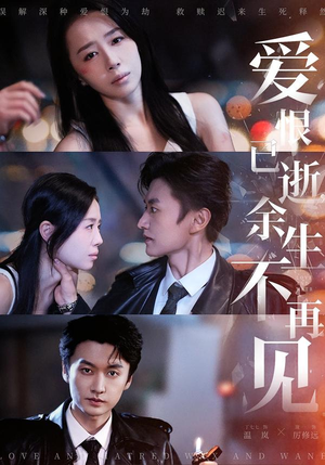 爱恨已逝，余生不再见（68集）网上可以看吗