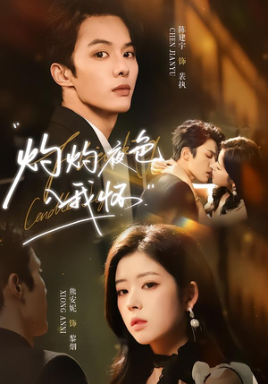 【灼灼夜色入我怀】60集短剧免费在线看全集