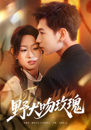 【野犬吻玫瑰】70集短剧免费全集随心看