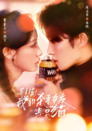 【别摸！我的杀手女友是只猫】60集短剧免费全集在线观赏