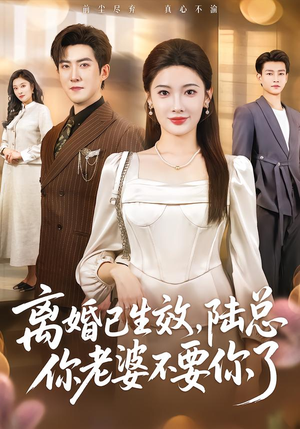 【离婚已生效，陆总你老婆不要你了】61集短剧免费在线完整观看