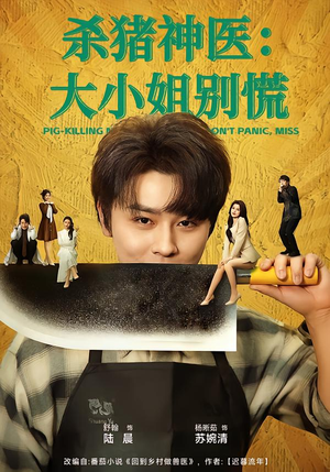 【杀猪神医，大小姐别慌】80集短剧免费高清观看