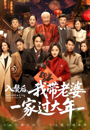 【入赘后，我带老婆一家过大年】60集短剧免费全集在线赏