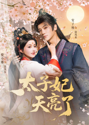 【太子妃天亮了】80集短剧免费在线尽情观看