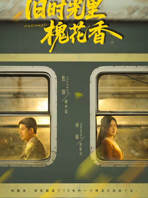 【旧时光里槐花香】70集短剧在线免费观享