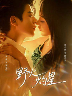 【野火灼星】56集短剧免费高清在线观看