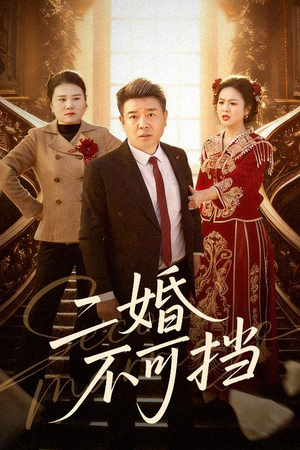【二婚不可挡】36集免费短剧在线完整观看