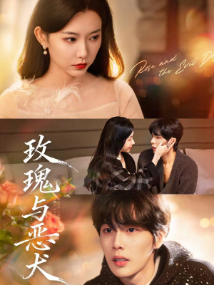 【玫瑰与恶犬】80集优质短剧免费在线观览