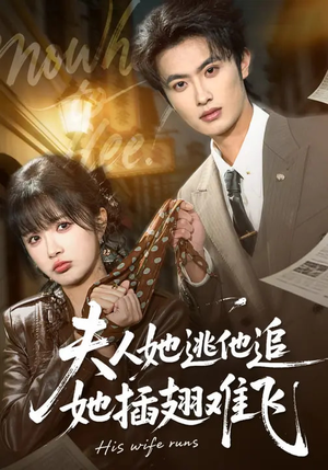 【夫人她逃他追，她插翅难飞】101集精彩短剧全集在线观