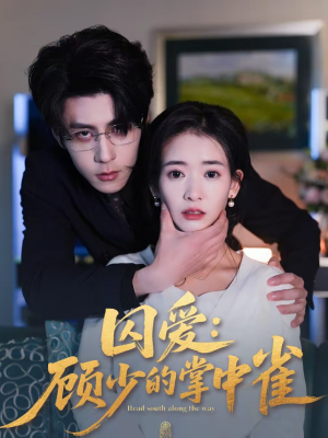 【囚爱：顾少的掌中雀】70集短剧免费高清观看