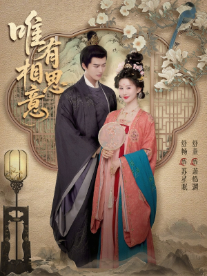 【唯有相思意】100集短剧无广告在线播放