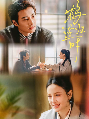 【鹤归瑾时】81集高清短剧完整版在线看