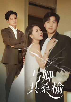 【与卿共桑榆】63集短剧全集免费在线速看