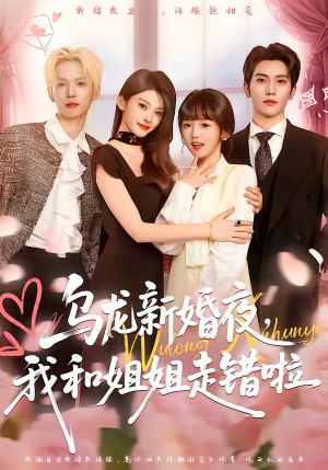 【乌龙新婚夜，我和姐姐走错啦】59集短剧全集在线畅看
