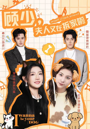 【顾少，夫人又在拆家啦】78集短剧在线免费观览