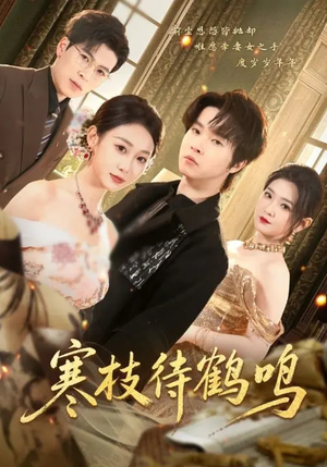 【寒枝待鹤鸣】70集短剧全集免费在线播放