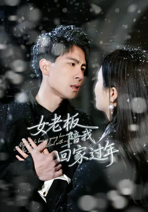 【女老板陪我回家过年】40集短剧免费在线赏阅