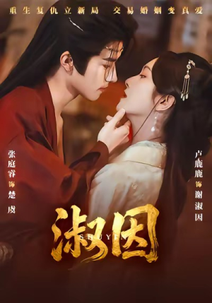 【淑因】65集精彩短剧免费在线追剧