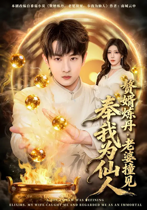 【赘婿炼丹，老婆撞见，奉我为仙人】59集短剧免费在线看全集