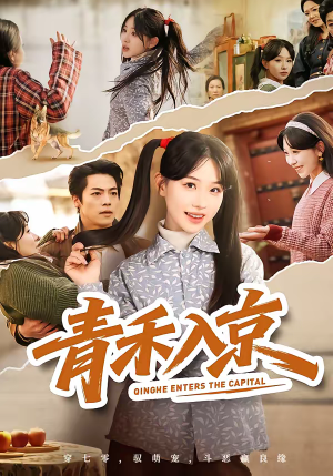 【青禾入京】60集短剧免费在线追剧