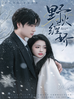 野火缠娇（66集）短剧热门合集