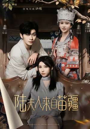 陆夫人来自苗疆（70集）在哪看免费