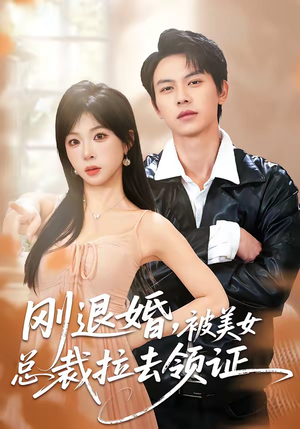 刚退婚，被美女总裁拉去领证（81集）高清画质免费看