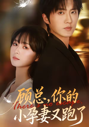 顾总，你的小孕妻又跑了（47集）新短剧推荐