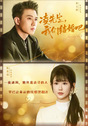 凌先生，我们结婚吧（68集）高质量短剧推荐