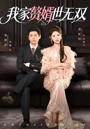 我家赘婿世无双(73集) 我家赘婿世无双(73集)在线播放