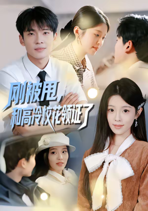 【刚被甩，和高冷校花领证了】67集短剧免费全集速看
