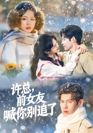 【许总，前女友喊你别追了】80集短剧免费高清在线看