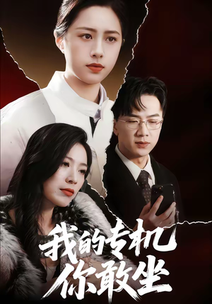 【我的专机你敢坐】62集短剧完整版在线看