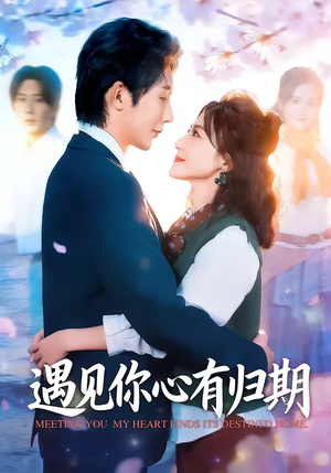 【遇见你心有归期】81集短剧免费在线完整赏
