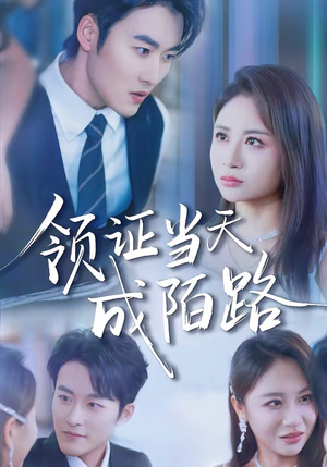 【领证当天成陌路】39集全网短剧免费在线播放