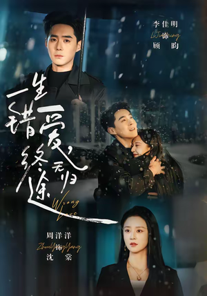 【一生错爱，终无归途】74集短剧免费高清观看