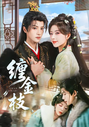 【缠金枝】69集超火短剧在线免费赏看
