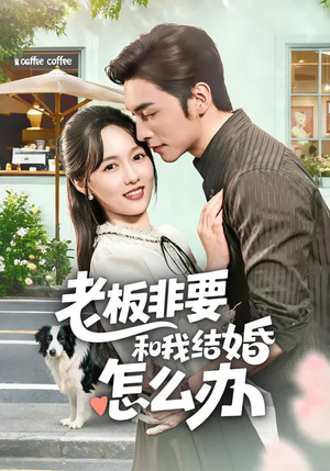 【老板非要和我结婚怎么办】50集短剧全集在线免费览