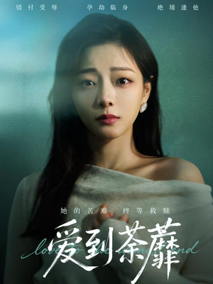 【爱到荼蘼】63集热门短剧在线免费追