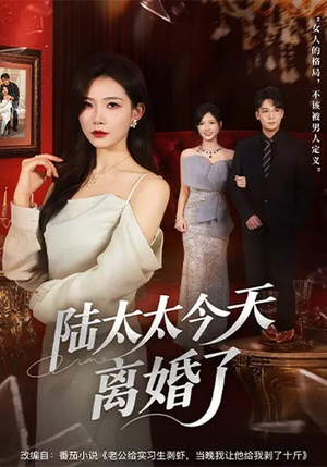 【陆太太今天离婚了】59集短剧免费全集播看