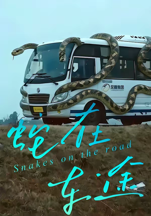 【蛇在车途】34集短剧免费在线高清赏看