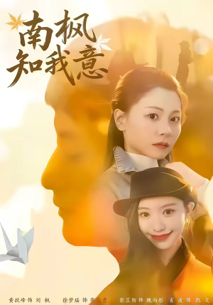 【南枫知我意】41集短剧全集免费畅享观看