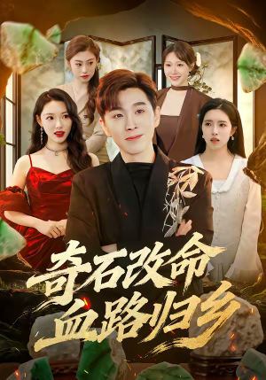 【奇石改命血路归乡】81集短剧免费完整版观看
