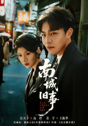 南城旧事(80集) 南城旧事(80集)完整版