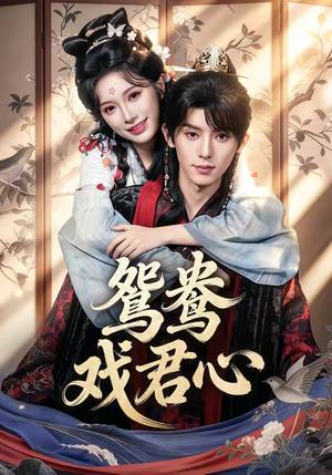 鸳鸯戏君心（60集）完整版