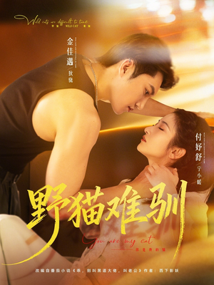 野猫难驯（73集）一起追短剧