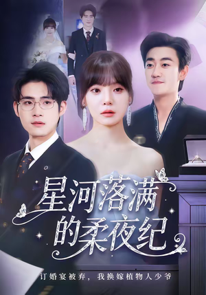 星河落满的柔夜纪（88集）海量资源免费看