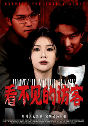 看不见的访客(62集) 看不见的访客(62集)80到100集